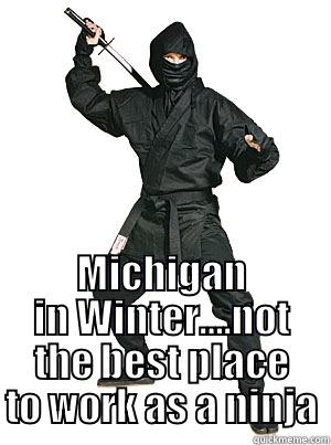  MICHIGAN IN WINTER….NOT THE BEST PLACE TO WORK AS A NINJA Misc