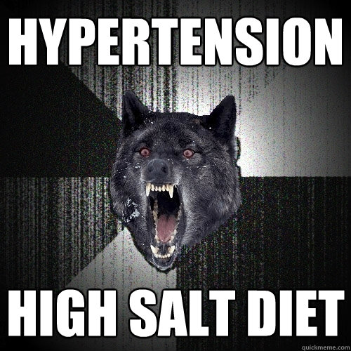 HYPERTENSION HIGH SALT DIET  Insanity Wolf