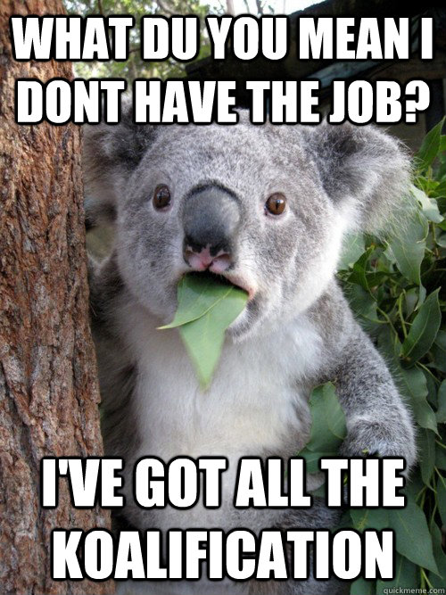 What du you mean I dont have the job? I've got all the koalification  Surprised Koala