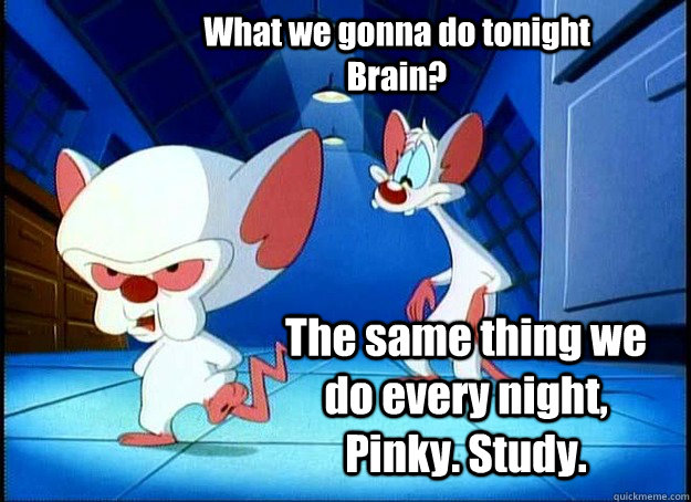 What we gonna do tonight Brain? The same thing we do every night, Pinky. Study.  Pinky and the Brain