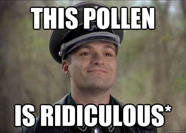 This pollen Is Ridiculous* - This pollen Is Ridiculous*  Misc