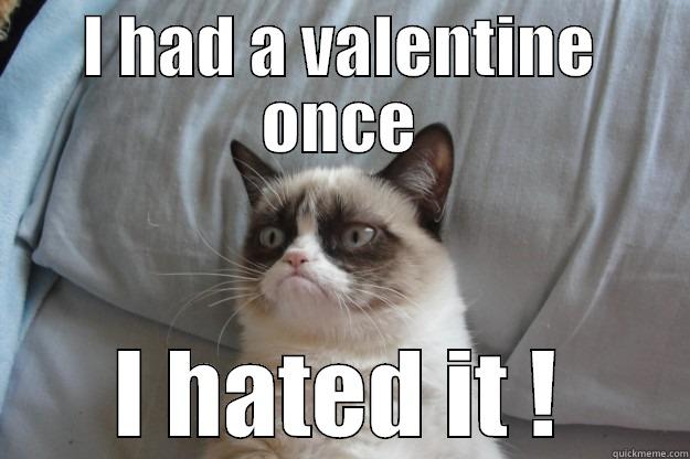 I HAD A VALENTINE ONCE I HATED IT ! Grumpy Cat