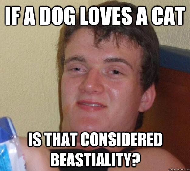 If a dog loves a cat is that considered Beastiality?   10 Guy