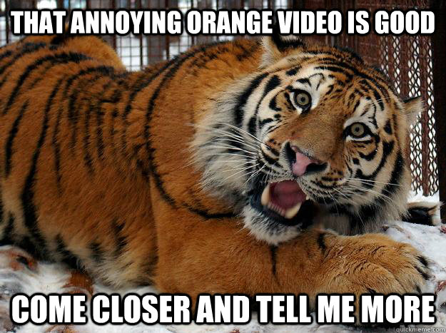 that annoying orange video is good come closer and tell me more  Fascinated Tiger