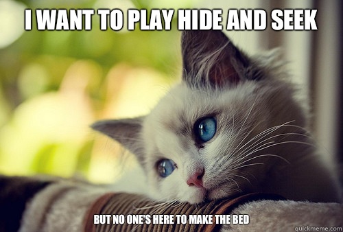 I want to play hide and seek BUT NO ONE'S HERE TO MAKE THE BED  First World Problems Cat