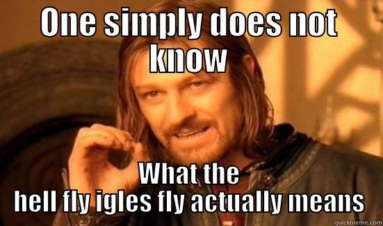 fly igles fly - ONE SIMPLY DOES NOT KNOW WHAT THE HELL FLY IGLES FLY ACTUALLY MEANS Boromir