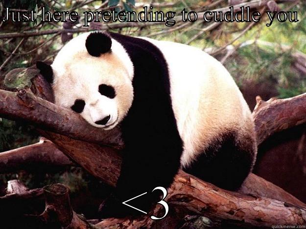 JUST HERE PRETENDING TO CUDDLE YOU  <3 Procrastination Panda