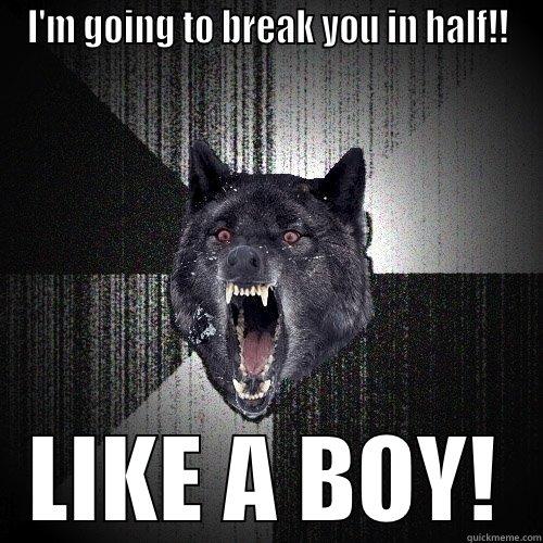 I'M GOING TO BREAK YOU IN HALF!! LIKE A BOY! Insanity Wolf