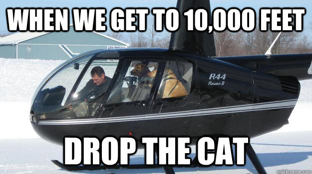 When we get to 10,000 feet drop the cat   Helicopter Dogs