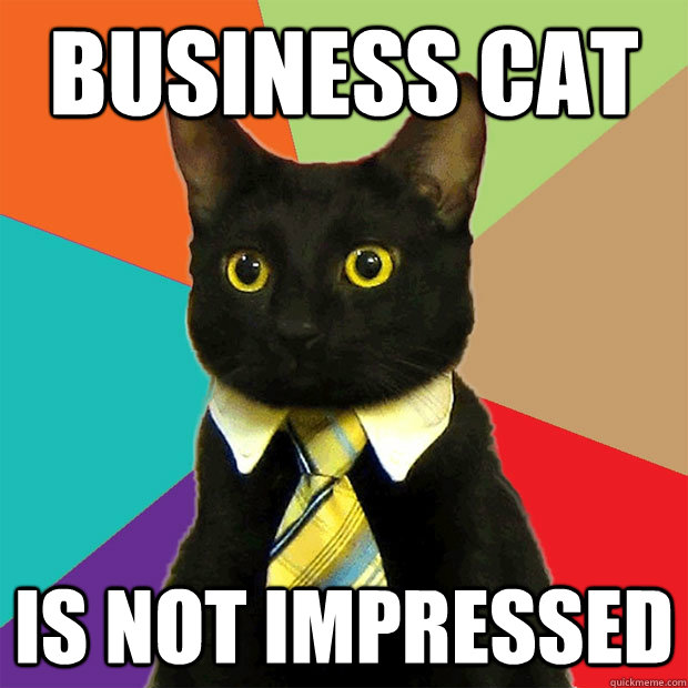 Business cat  is not impressed  Business Cat