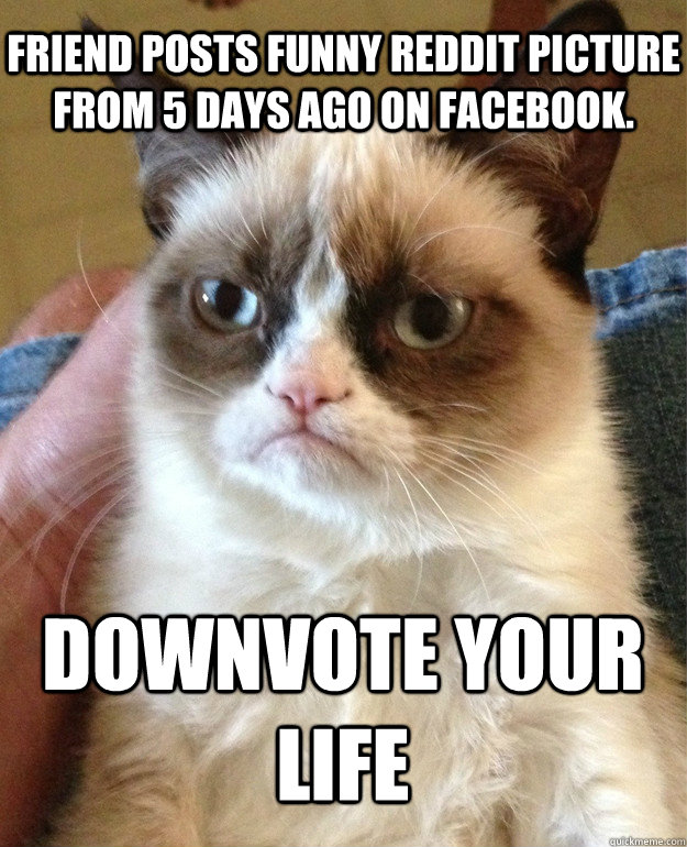 Friend Posts Funny Reddit picture from 5 days ago on Facebook. Downvote your life  Grumpy Cat