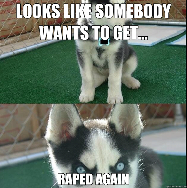 LOOKS LIKE SOMEBODY WANTS TO GET... RAPED AGAIN - LOOKS LIKE SOMEBODY WANTS TO GET... RAPED AGAIN  Blunt Bark the Husky