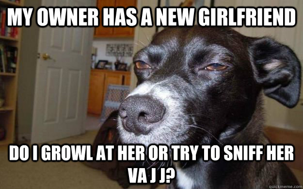 My owner has a new girlfriend  Do I growl at her or try to sniff her va j j?  Skeptical Mutt