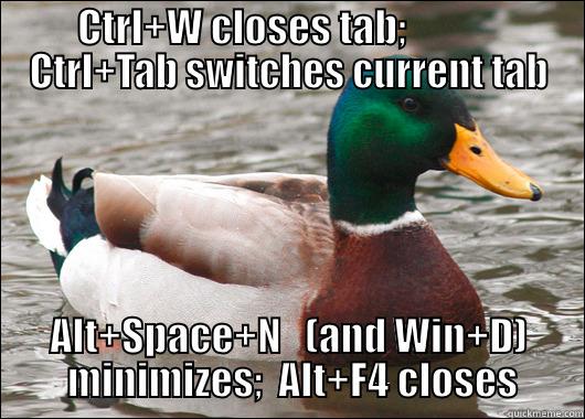 CTRL+W CLOSES TAB;             CTRL+TAB SWITCHES CURRENT TAB ALT+SPACE+N   (AND WIN+D)  MINIMIZES;  ALT+F4 CLOSES Actual Advice Mallard