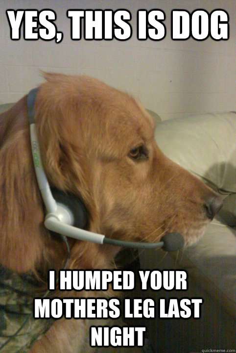 yes, this is dog I humped your mothers leg last night  Xbox Live Dog