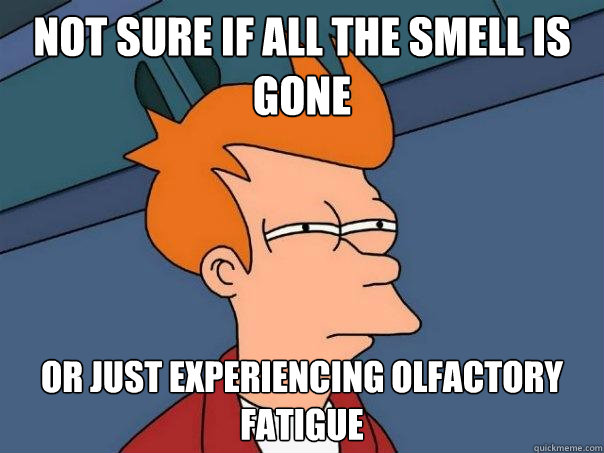 Not Sure If all the smell is gone Or just experiencing Olfactory fatigue  Futurama Fry