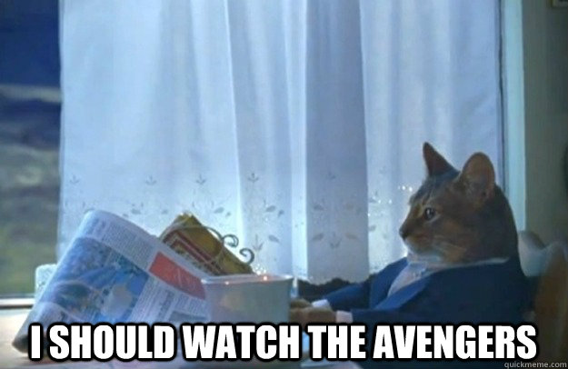  I should watch The Avengers  Sophisticated Cat