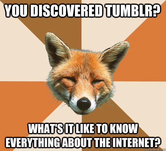 you discovered tumblr? what's it like to know everything about the internet?  Condescending Fox