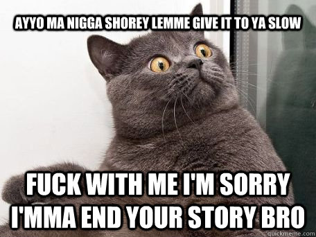 Ayyo ma nigga shorey lemme give it to ya slow fuck with me i'm sorry i'mma end your story bro  conspiracy cat