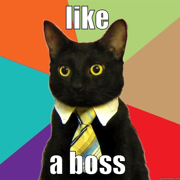 LIKE A BOSS Business Cat