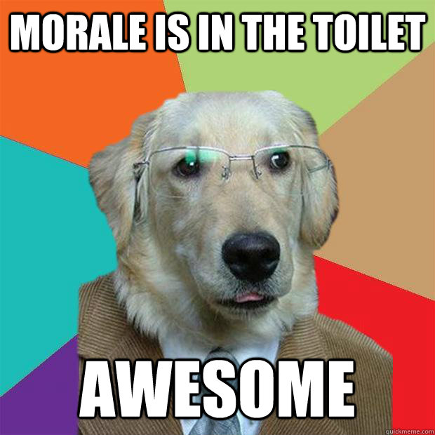 morale is in the toilet awesome  Business Dog