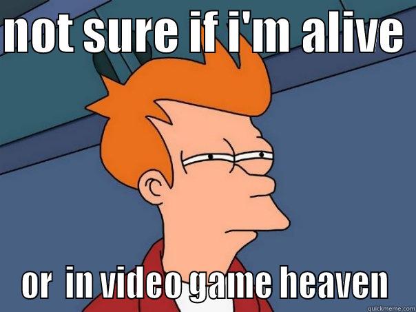 NOT SURE IF I'M ALIVE  OR  IN VIDEO GAME HEAVEN Futurama Fry