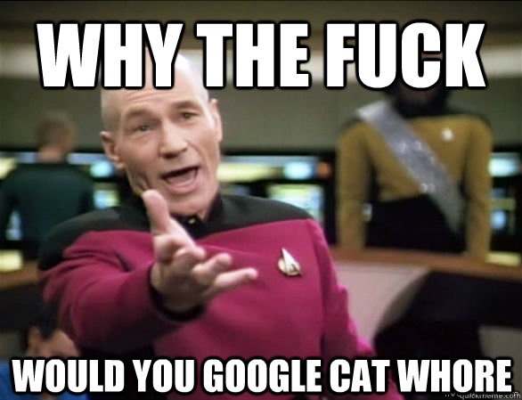 why the fuck would you google cat whore  Annoyed Picard HD