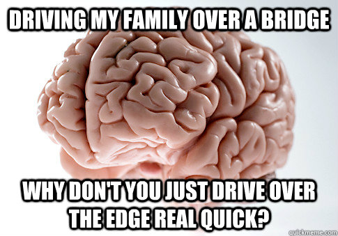 driving my family over a bridge why don't you just drive over the edge real quick?  Scumbag Brain