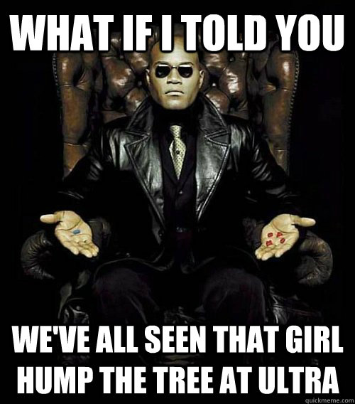 WHAT IF I TOLD YOU WE'VE all seen that girl hump the tree at ultra  Morpheus