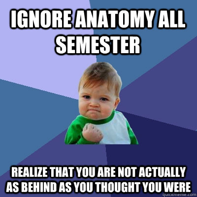 Ignore Anatomy all semester Realize that you are not actually as behind as you thought you were - Ignore Anatomy all semester Realize that you are not actually as behind as you thought you were  Success Kid