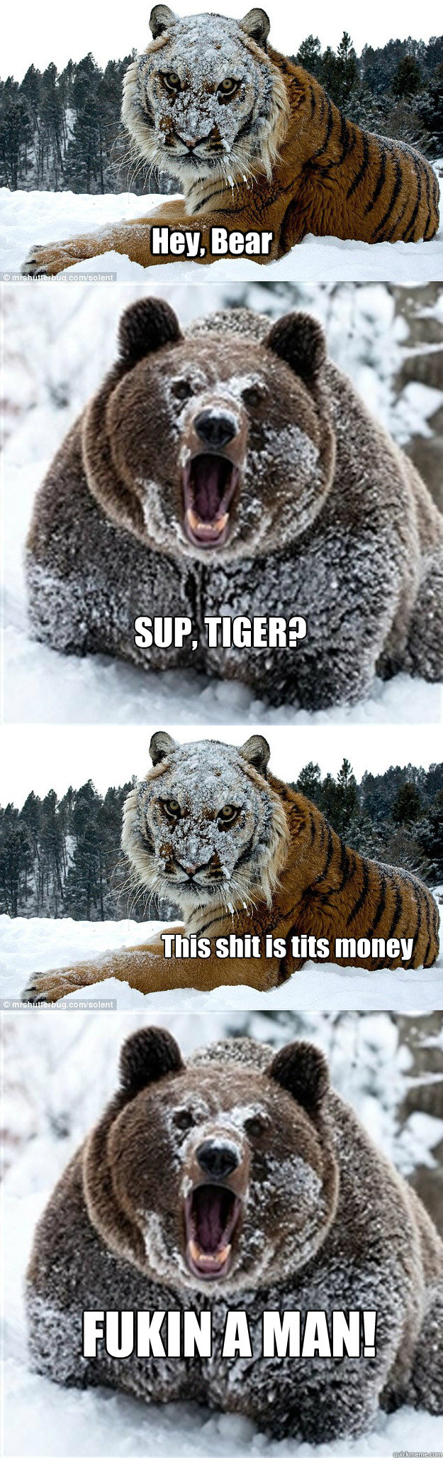 Hey, Bear SUP, TIGER? This shit is tits money FUKIN A MAN!  cocaine tiger