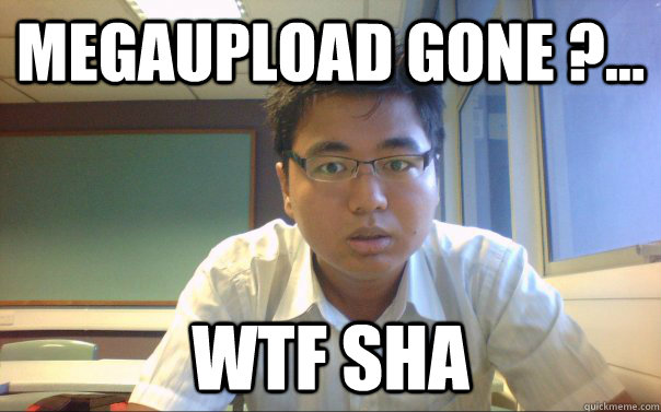 megaupload Gone ?... WTF SHA  