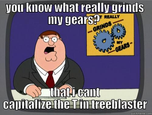 YOU KNOW WHAT REALLY GRINDS MY GEARS?  THAT I CANT CAPITALIZE THE T IN TREEBLASTER Grinds my gears