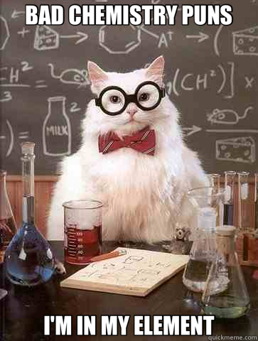 BAD CHEMISTRY PUNS I'M IN MY ELEMENT  Chemistry Cat