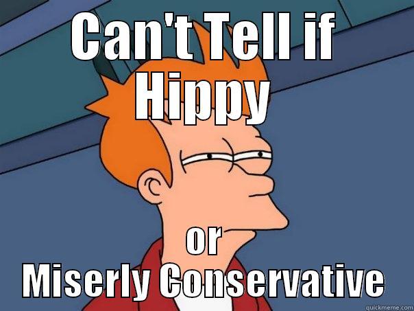 CAN'T TELL IF HIPPY OR MISERLY CONSERVATIVE Futurama Fry