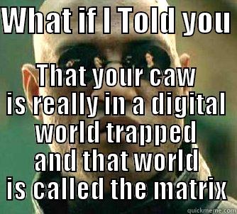 WHAT IF I TOLD YOU  THAT YOUR CAW IS REALLY IN A DIGITAL WORLD TRAPPED AND THAT WORLD IS CALLED THE MATRIX Matrix Morpheus
