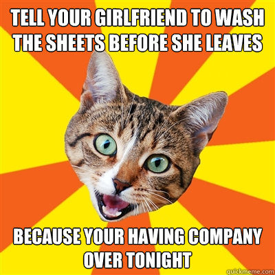 Tell your girlfriend to wash the sheets before she leaves because your having company over tonight  Bad Advice Cat