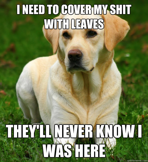 I need to cover my shit with leaves They'll never know I was Here  Dog Logic