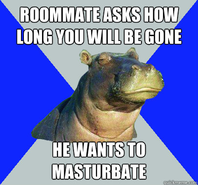 Roommate asks how long you will be gone He wants to masturbate  Skeptical Hippo