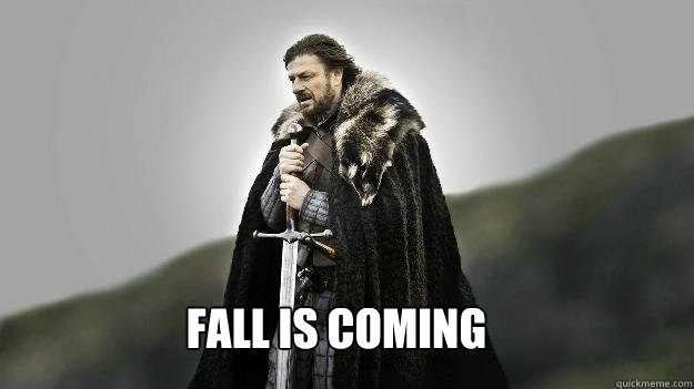 Fall is coming  Ned stark winter is coming