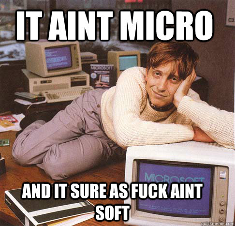 it aint micro and it sure as fuck aint soft  Dreamy Bill Gates