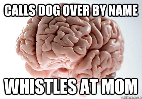 calls dog over by name whistles at mom - calls dog over by name whistles at mom  Scumbag Brain