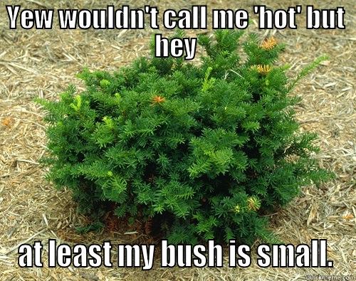 YEW WOULDN'T CALL ME 'HOT' BUT HEY AT LEAST MY BUSH IS SMALL. Misc