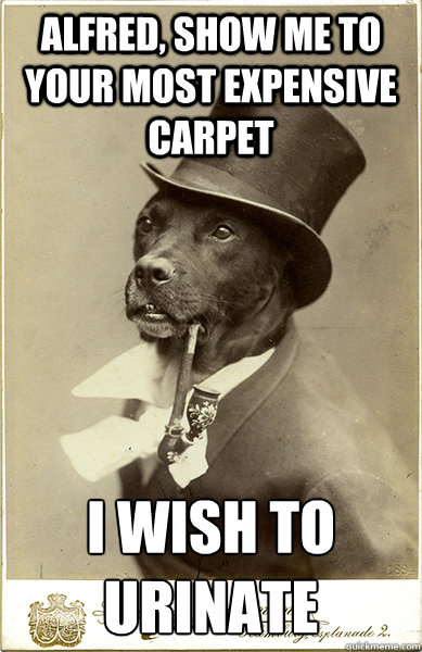 Alfred, show me to your most expensive carpet I wish to urinate - Alfred, show me to your most expensive carpet I wish to urinate  Old Money Dog