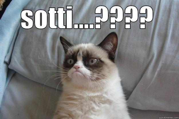 SOTTI....????  Grumpy Cat