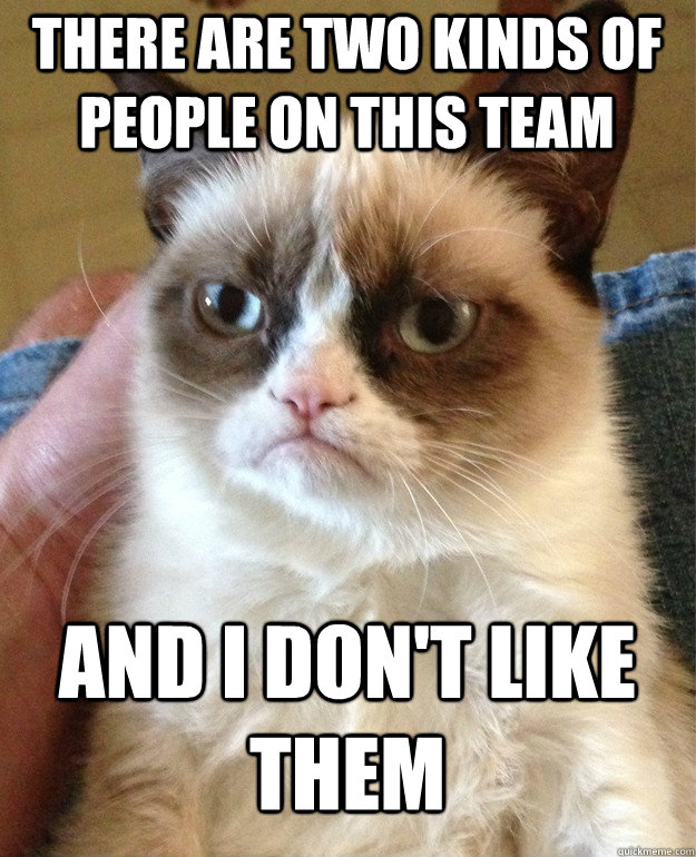 there are two kinds of people on this team and i don't like them - there are two kinds of people on this team and i don't like them  Grumpy Cat