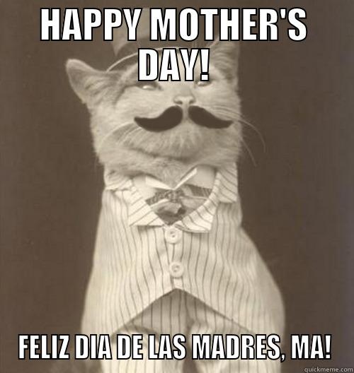 mother's day - HAPPY MOTHER'S DAY! FELIZ DIA DE LAS MADRES, MA! Original Business Cat
