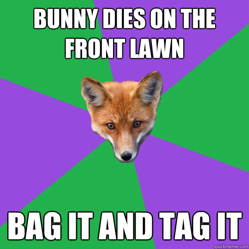 Bunny dies on the front lawn Bag it and tag it  Anthropology Major Fox