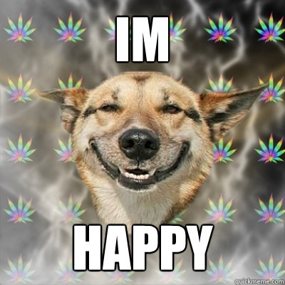 im  happy  Stoner Dog