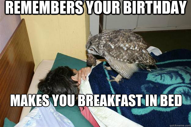 Remembers your birthday makes you breakfast in bed - Remembers your birthday makes you breakfast in bed  Good Guy Owl